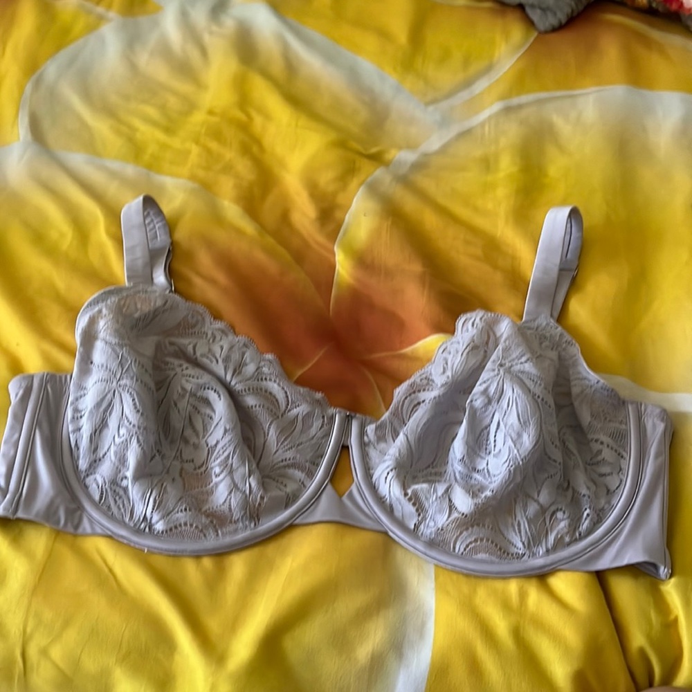 Brand New Bare Necessities Lace Bra